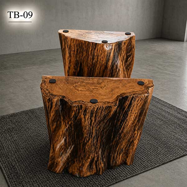 TB-09.jpg